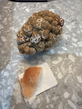 The wulfanite Witch’s Live Basket