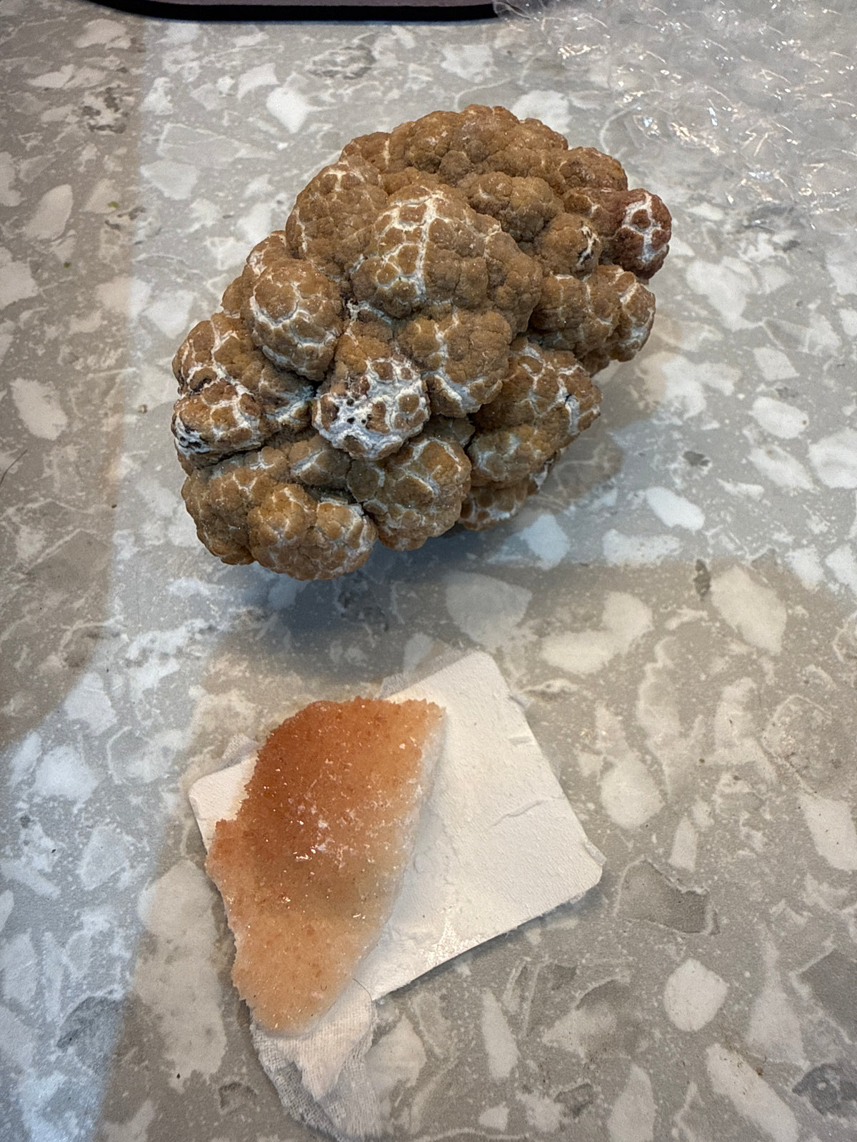 The wulfanite Witch’s Live Basket