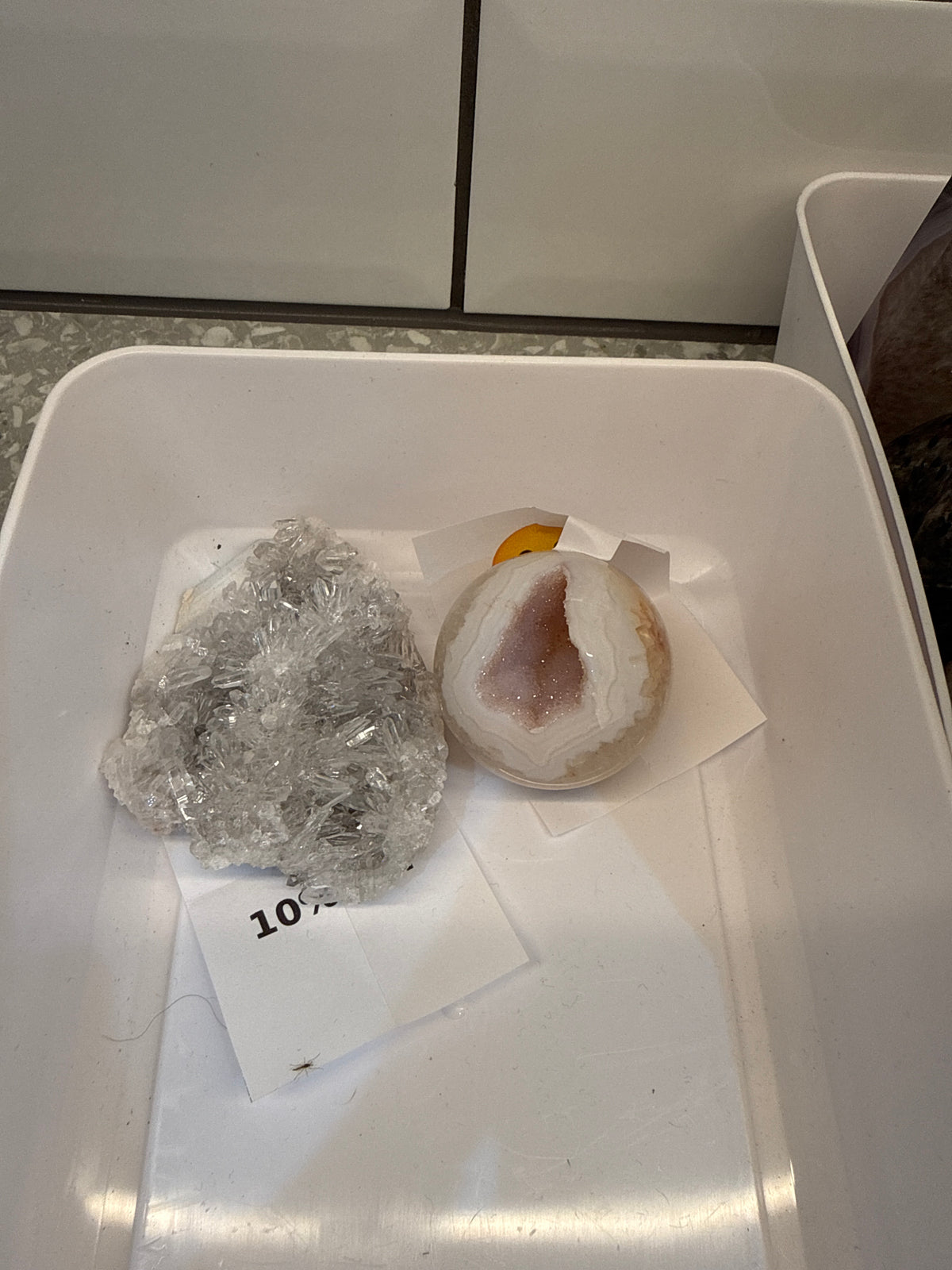 Embla’s Live Basket
