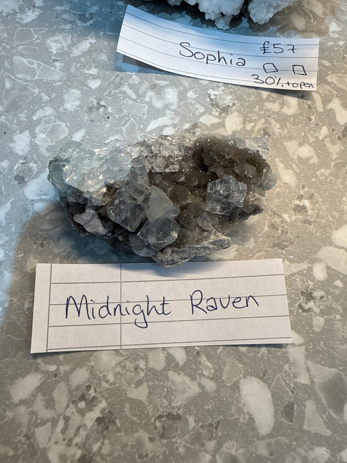 Midnight Raven’s live basket
