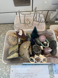 Jue’s Live Basket