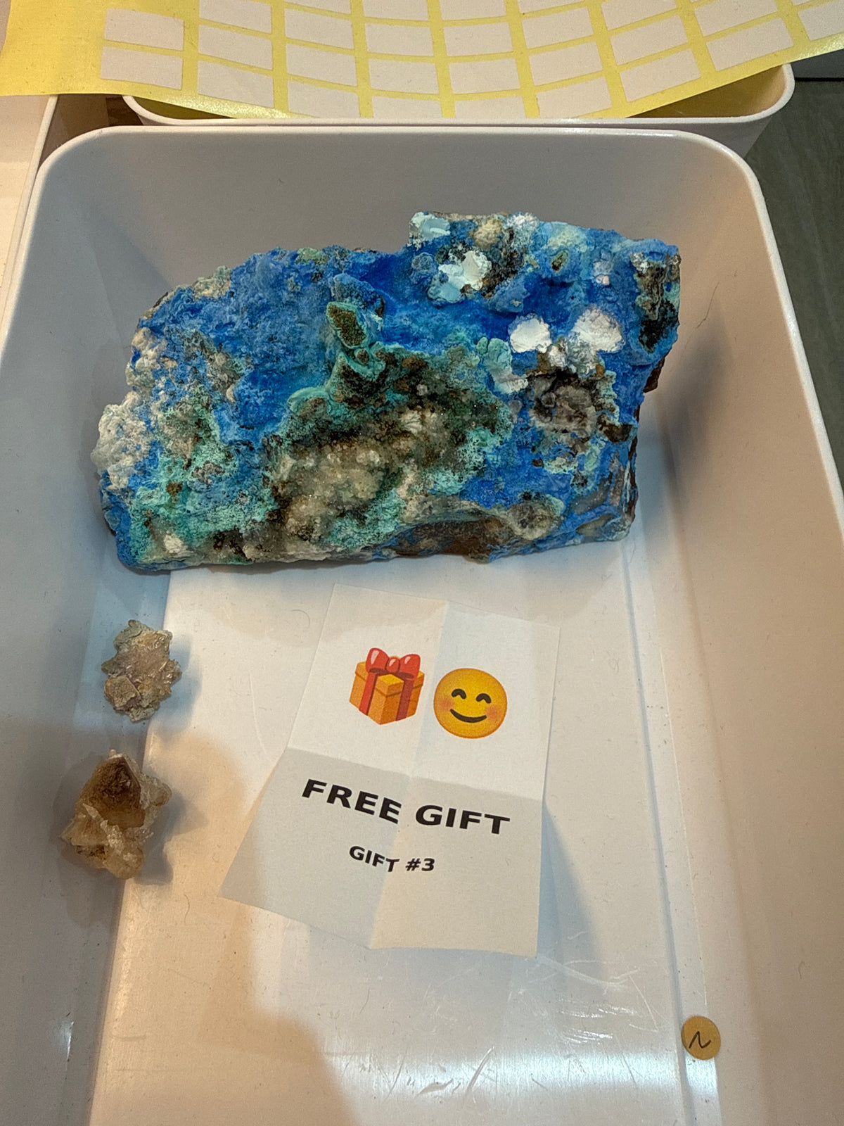 The wulfanite Witch’s Live Basket