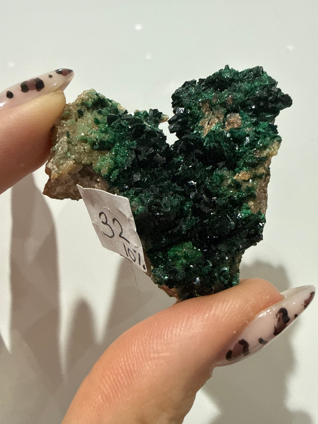 Lilith’s live basket