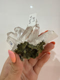 Lilith’s live basket