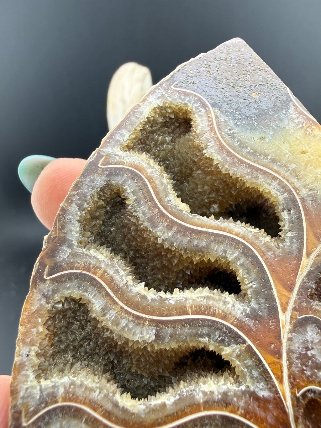 IRIDESCENT MADAGASCAR AMMONITE SPLIT PAIR ON CUSTOM STAND